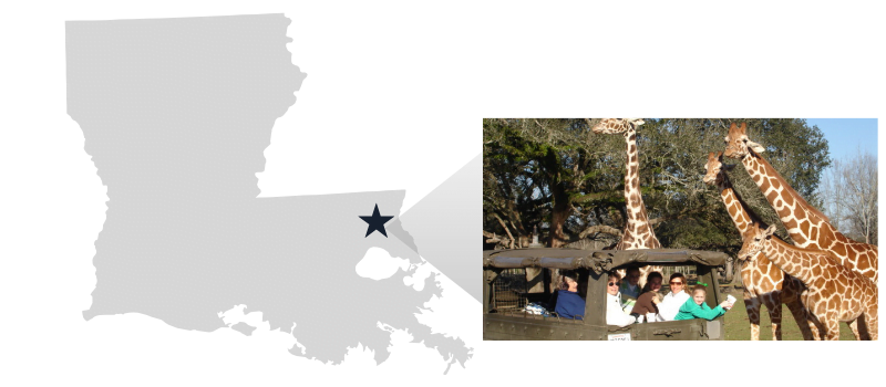 Internet Provider in Folsom, LA Internet Provider in Folsom, LA