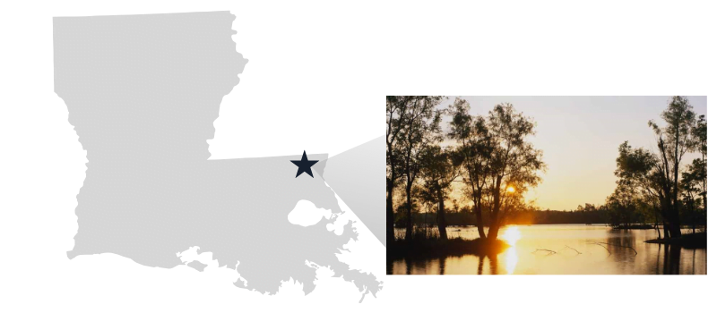 Internet Provider in Pine Grove, LA  Internet Provider in Pine Grove, LA