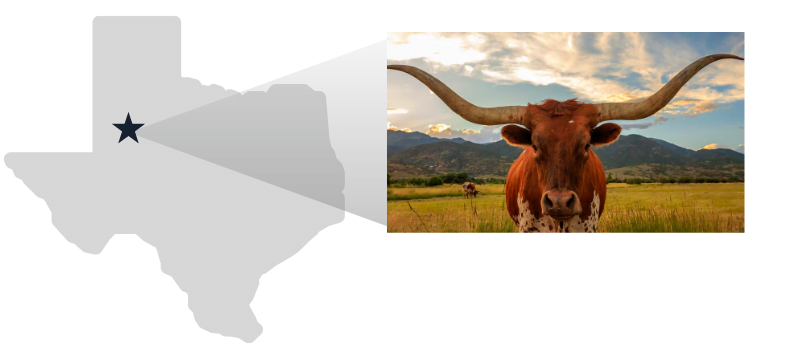 Internet Provider in Smyer, TX