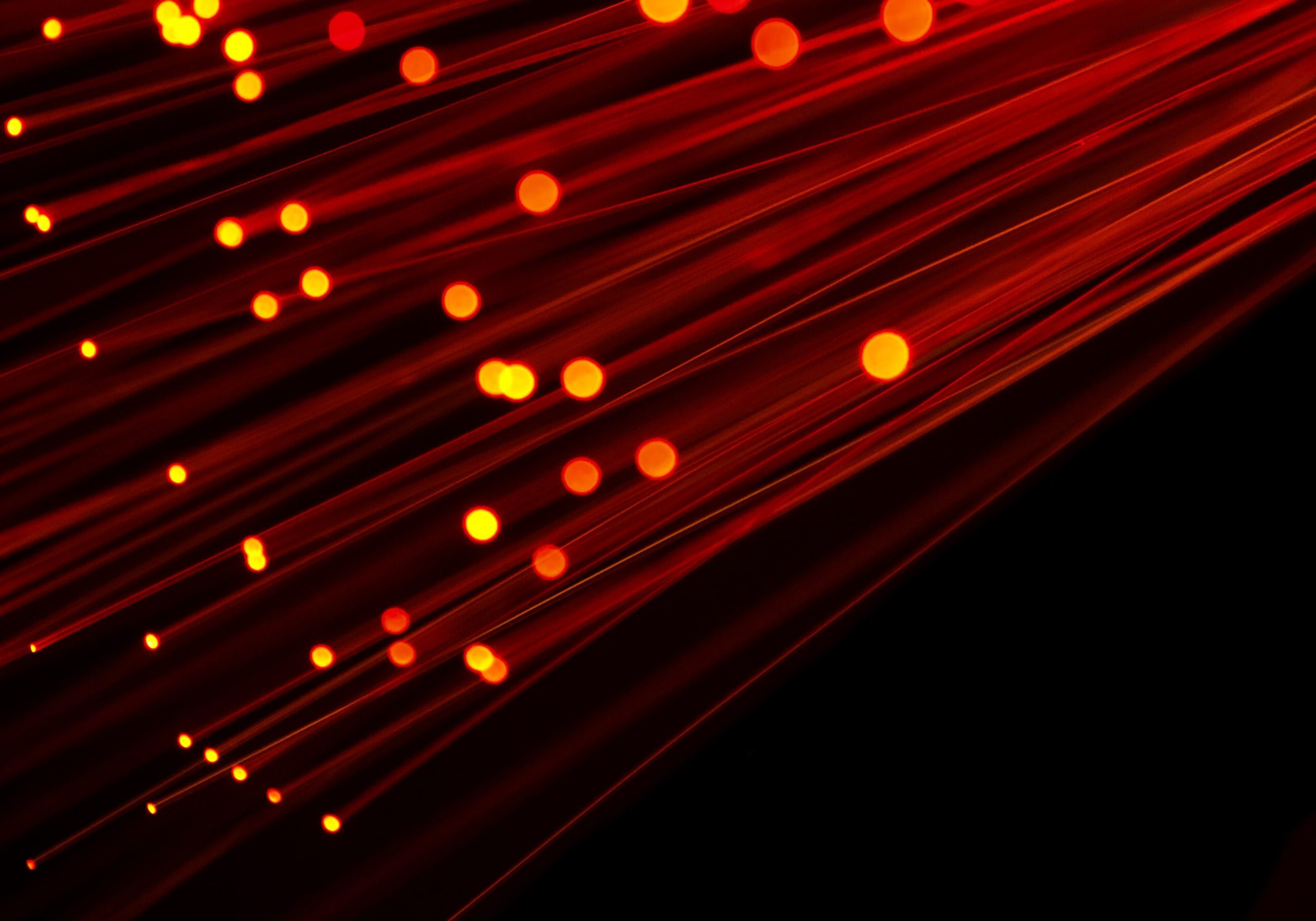 compare-fibre-PAOv9-7VBMI-unsplash